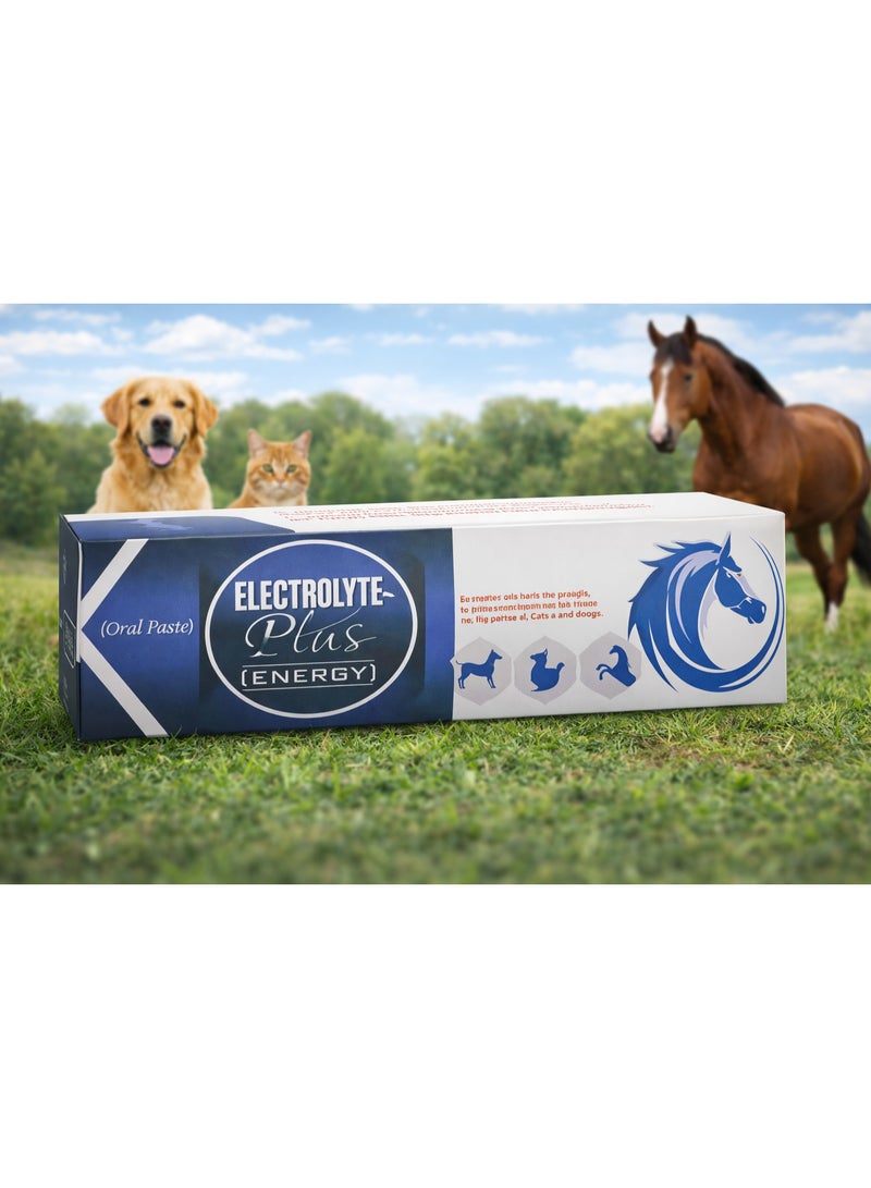 Electrolyte - Plus Energy - Supplement for Horses, Dogs and Cats - Electrolyte & Energy supplement to reduce stress, increase fertility and appetite